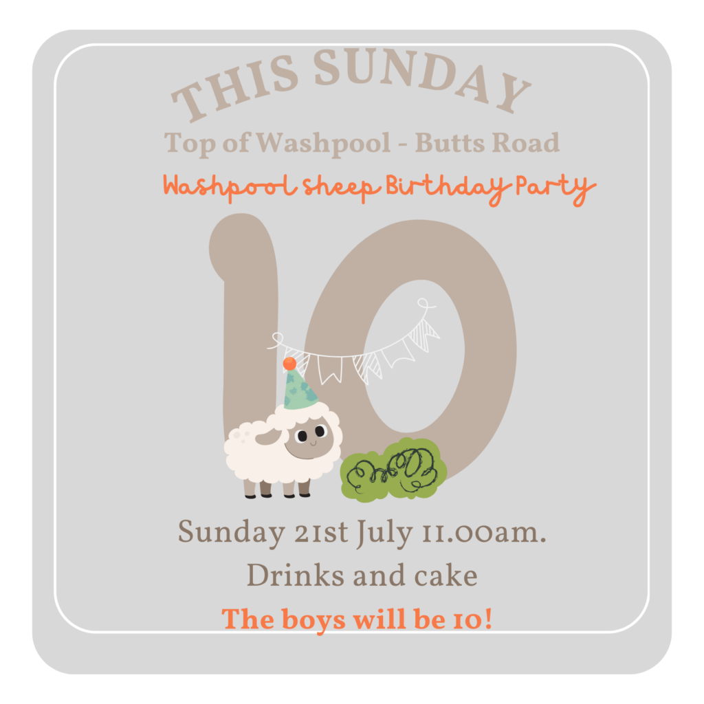 Poster advertising Washpool sheep birthday party